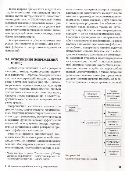 Спортивный массаж и вспомогательные приемы - фото 5
