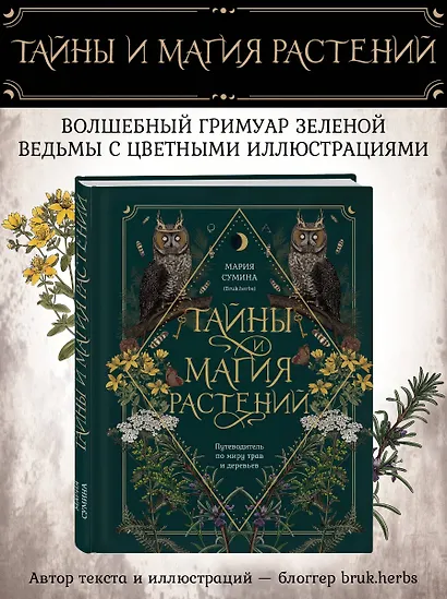 Тайны и магия растений. Путеводитель по миру трав и деревьев - фото 4