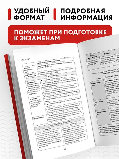 Уголовный кодекс РФ в схемах и таблицах с пояснениями. Учебное пособие - фото 5