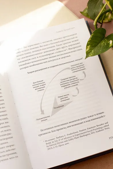 Больше силы в каждом дне. Источники жизненной силы для самого важного - фото 7