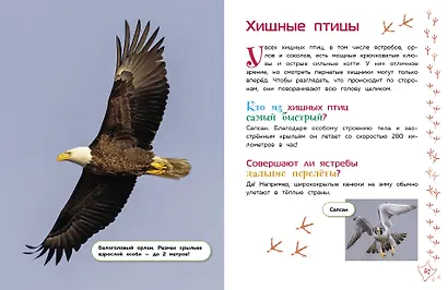 Животные. Большая детская энциклопедия - фото 8