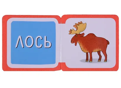 Мини-книжки ЭВА. Кто здесь живёт? В лесу - фото 3