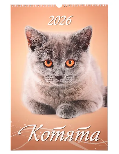 Календарь 2026г 320*480 "Котята" настенный, на спирали - фото 1