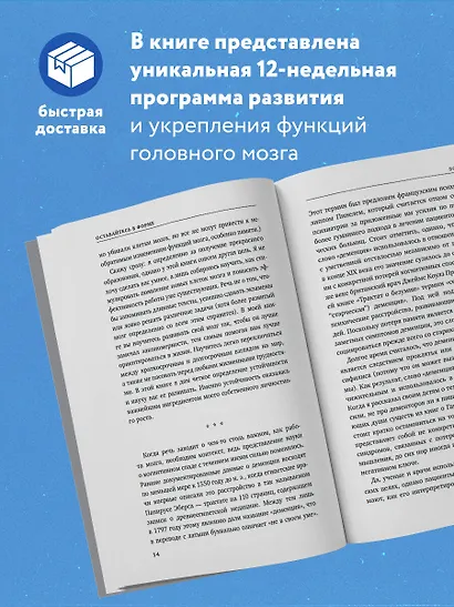 Устойчивый мозг. Как сохранить мозг продуктивным в любом возрасте - фото 5