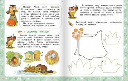 Совушкино перышко. Готовим руку к письму - фото 3