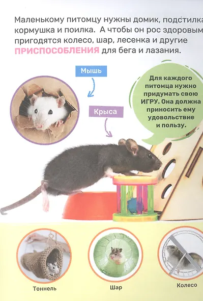 Домашние питомцы - фото 5