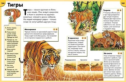 Обо всём на свете в вопросах и ответах. Энциклопедия - фото 3