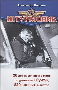 Штурмовик - фото 1