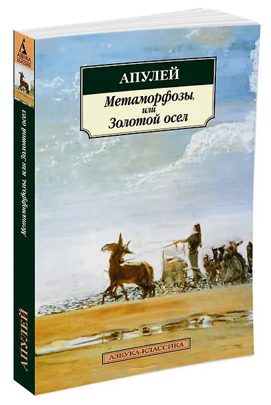 Метаморфозы, или Золотой осел - фото 2