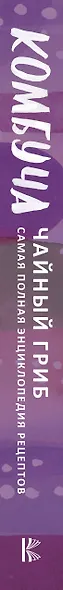 Комбуча. Чайный гриб. Самая полная энциклопедия рецептов - фото 4