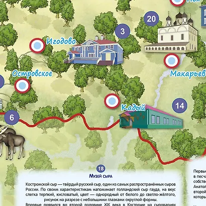 Костромская область. МЕМО Настольная игра. 50 карточек - фото 4