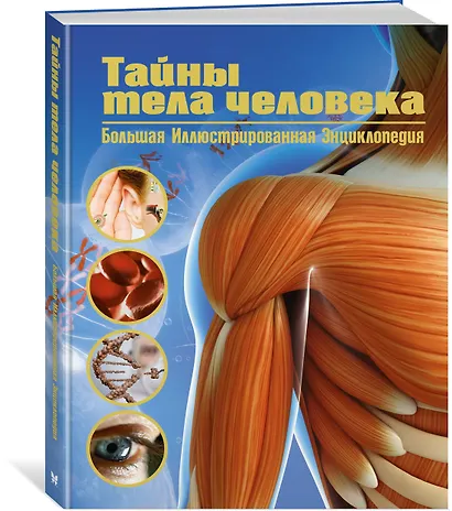 Тайны тела человека. Большая иллюстрированная энциклопедия - фото 3