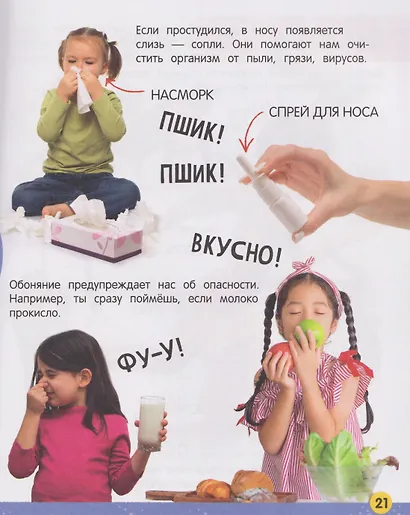 Моя большая книга о теле человека - фото 5