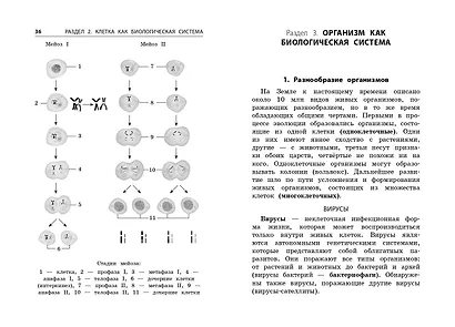 Биология - фото 6