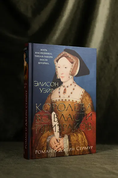 Королева во власти призраков. Роман о Джейн Сеймур - фото 7