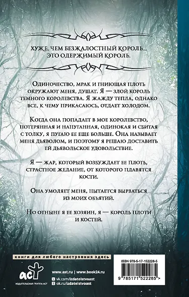 Король плоти и костей: фантастический роман - фото 2