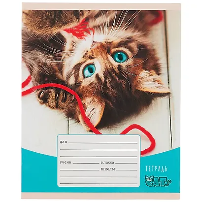 Тетрадь в клетку Listoff, "Игривые котята", 12 листов, в ассортименте - фото 4