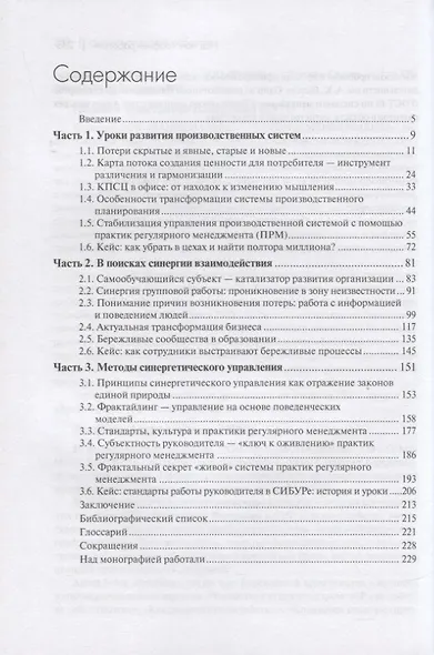 Развитие бережливых производственных систем в России: синергия возможностей - фото 2