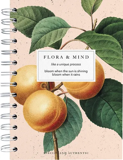 Тетрадь общая «Flora. Персики», 120 листов в клетку, А5 - Be Smart - фото 1
