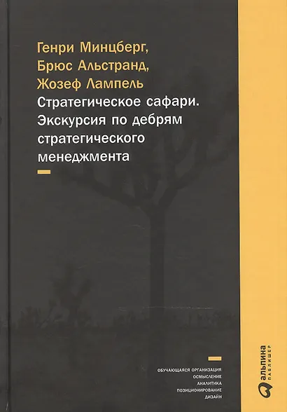 Стратегическое сафари: Экскурсия по дебрям стратегического менеджмента - фото 2