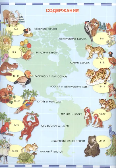 Атлас животных с наклейками - фото 3