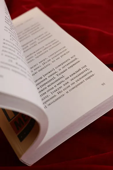 Индийская книга мертвых - фото 9