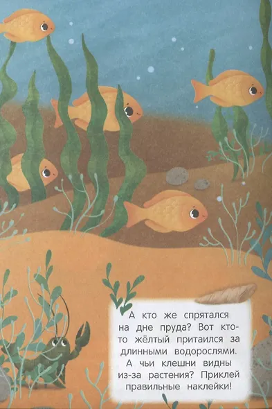 В воде и под водой Найди меня - фото 2