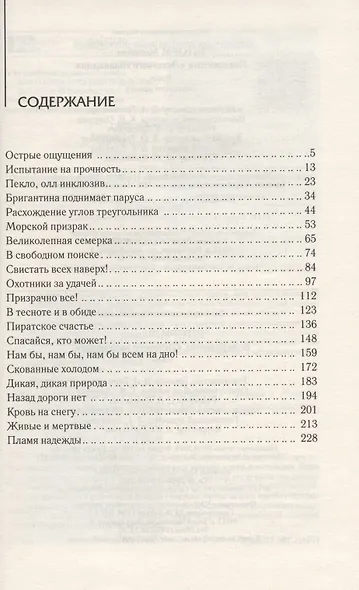 Возвращение "Летучего голландца" - фото 2