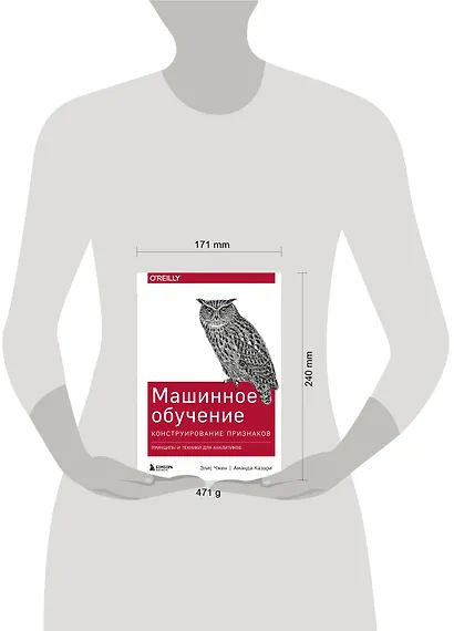 Машинное обучение: Конструирование признаков. Принципы и техники для аналитиков - фото 4