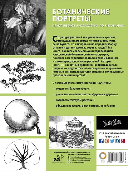 Ботанические портреты. Практическое руководство по рисованию - фото 2