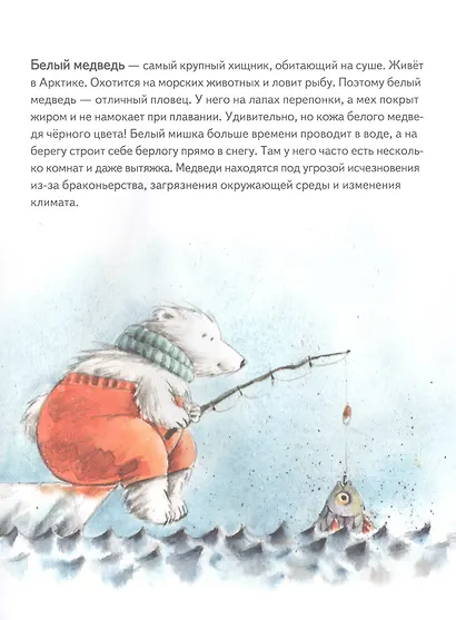 Чудо в Новый год: как Белый Мишка нашёл друзей - фото 6