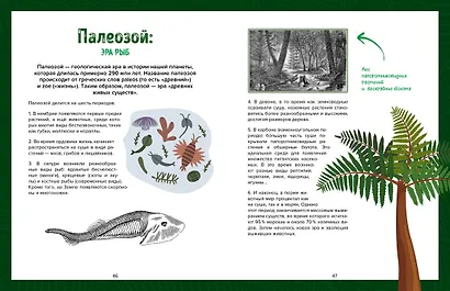Царство динозавров. Энциклопедия для детей - фото 11