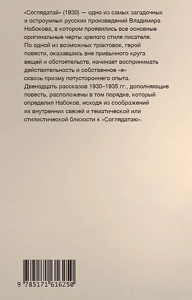 Соглядатай - фото 2