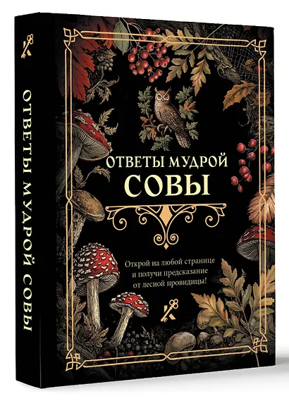 Ответы мудрой совы - фото 3