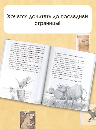 Кот Тихон и новые испытания - фото 6
