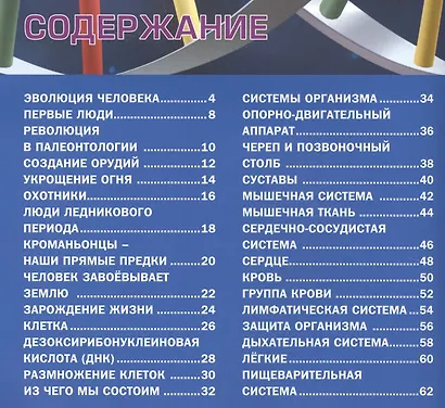 Человеческое тело. Энциклопедия для мальчиков и девочек(МЕЛОВКА) - фото 2