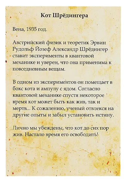 Головоломка "Квестбокс: Кот Шрёдингера" - фото 4