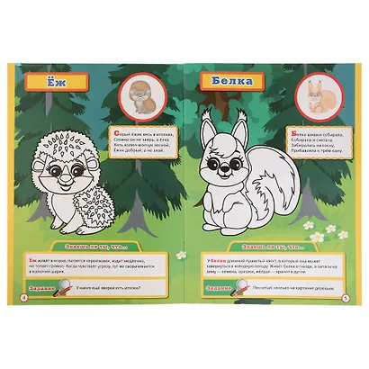 Лесные животные (энциклопедия с наклейками А4) - фото 2