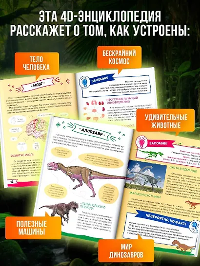 Большая энциклопедия дошкольника с дополненной реальностью - фото 5