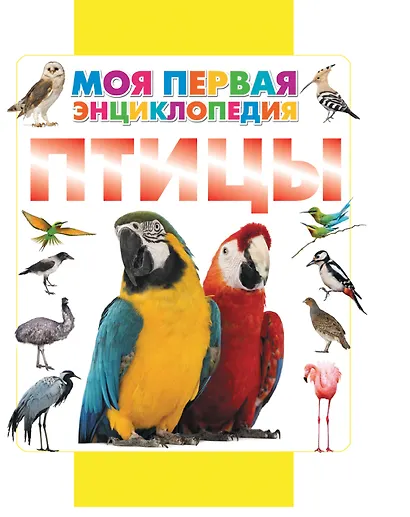 Птицы - фото 1