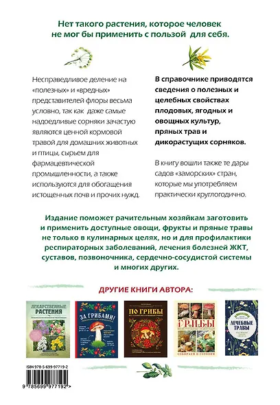 Натуральная аптечка. Ягоды, овощи, фрукты, пряные травы - фото 2