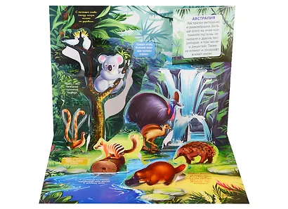 Живая планета. Джунгли (книжка-панорамка) - фото 2