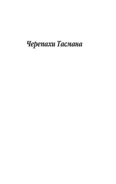 Бродяга и фея - фото 10