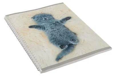 Тетрадь в линейку Listoff, "Котенок", А4, 60 листов - фото 3