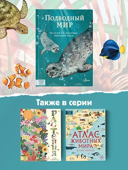 Подводный мир: Исследуй 15 различных акваторий Земли - фото 6