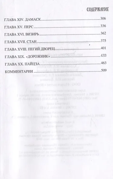 Молниеносный Баязет. Роман - фото 4