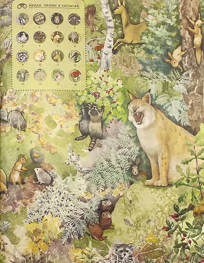 По лесным тропинкам: познавательная книга о природе с вопросами и ответами - фото 3