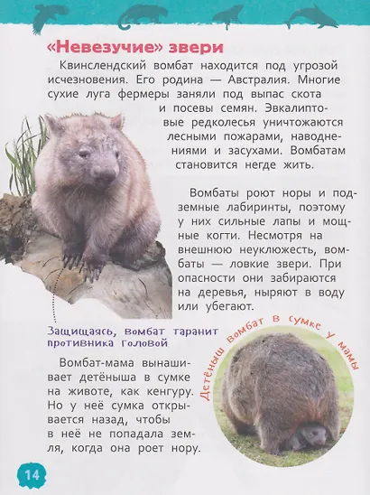Красная книга мира. Энциклопедия для детского сада - фото 6