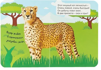 Животные джунглей - фото 2