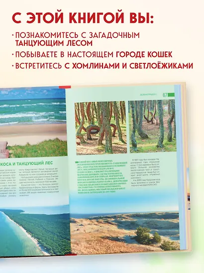 Чарующий Калининград. Самые красивые места края янтаря, которые обязательно нужно посетить - фото 7